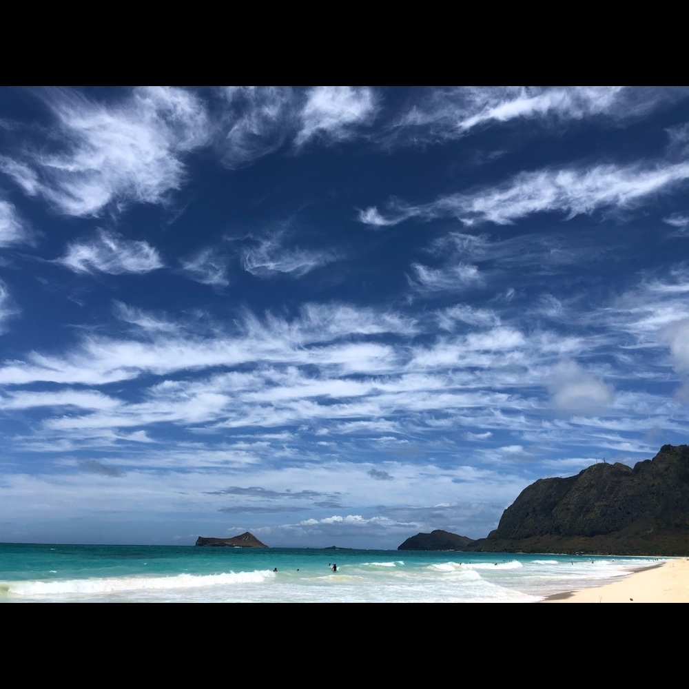 Meet your Posher, Kelley